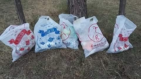 Riserva Naturale Pineta di Santa Filomena画像