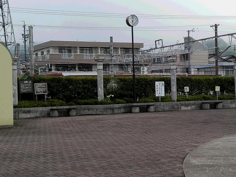 早朝。バード画像