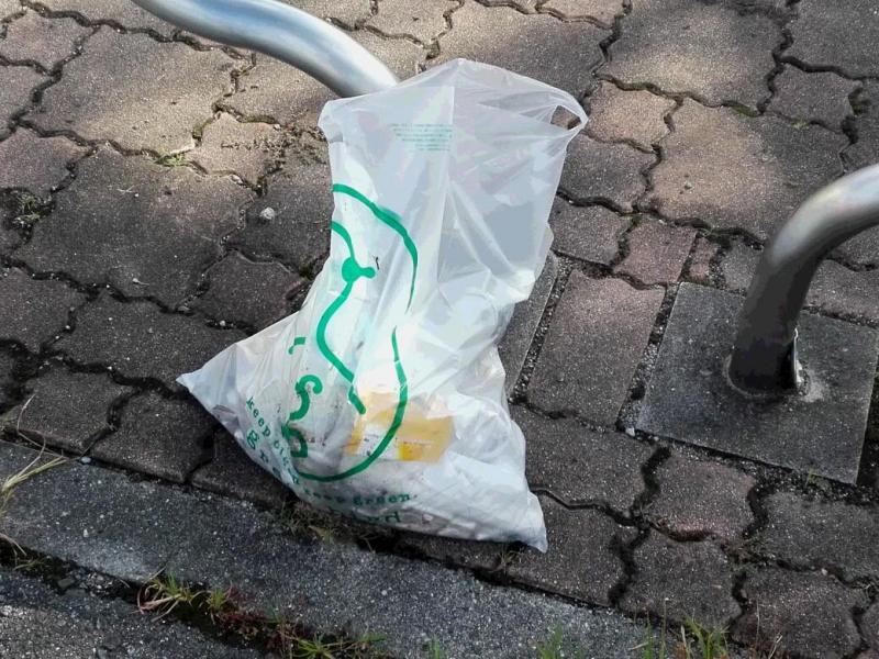 早朝。バード画像