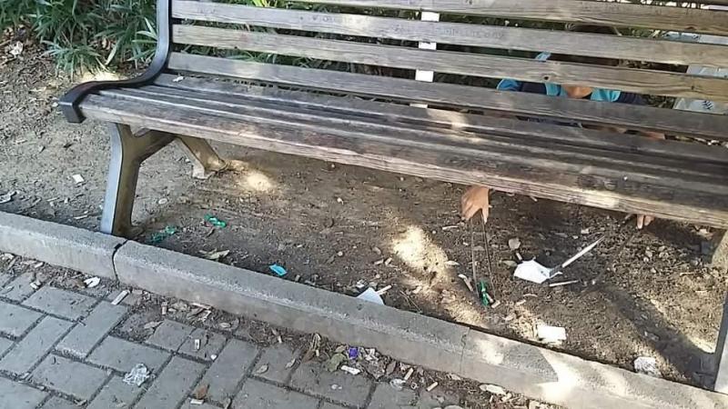 Parco delle meraviglie画像