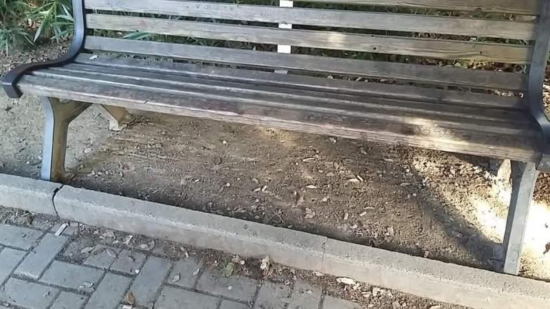 Parco delle meraviglie画像