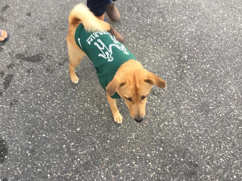 TENRYU river~~~画像