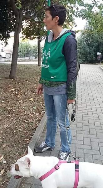 Via di sotto-ディソット通り画像