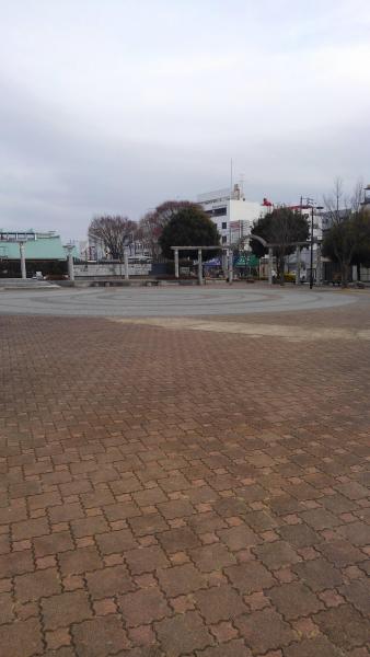 お久しぶりの丘の上グリーンバード画像