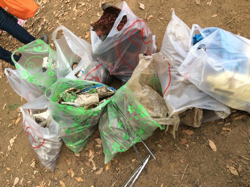 埋立てゴミ！画像