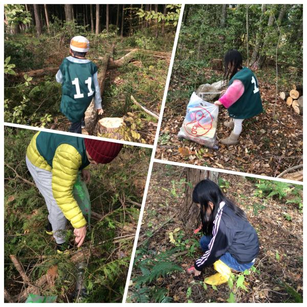 埋立てゴミ！画像