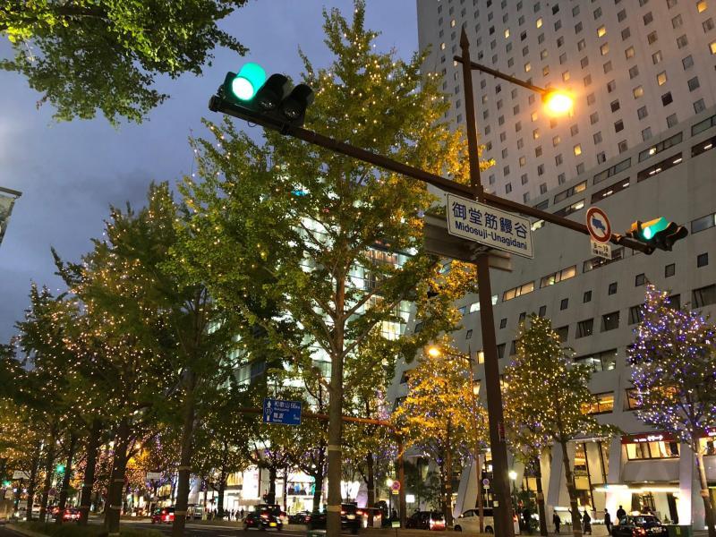 green bird &times; OCEAN TOKYO Osaka 画像