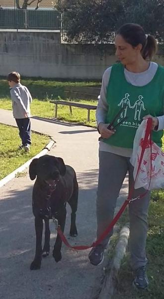 Parco Pietro Pacca画像