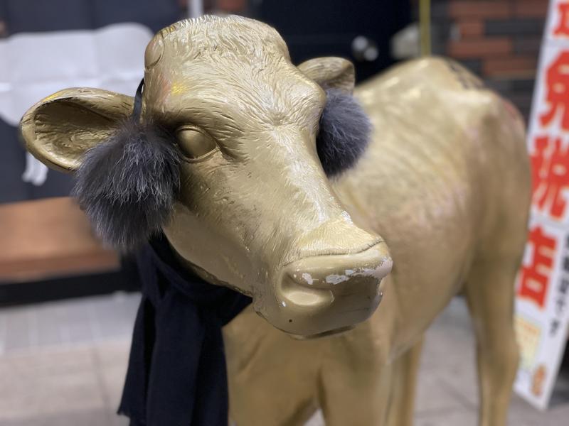 雪まつり前の寒さむおそうじ画像