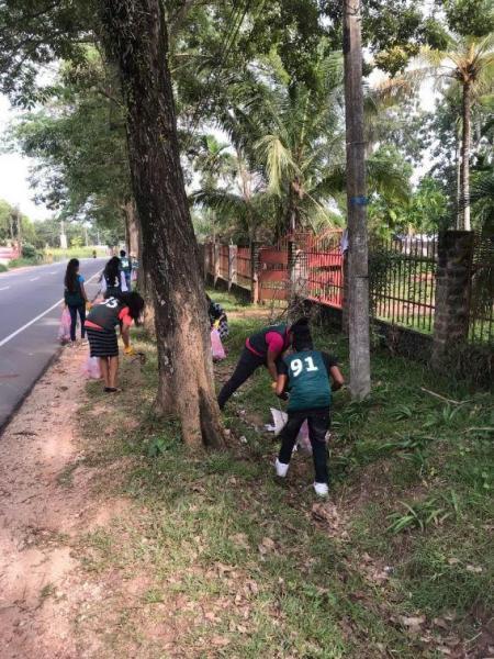 2018年度最後のグリンバード活動画像