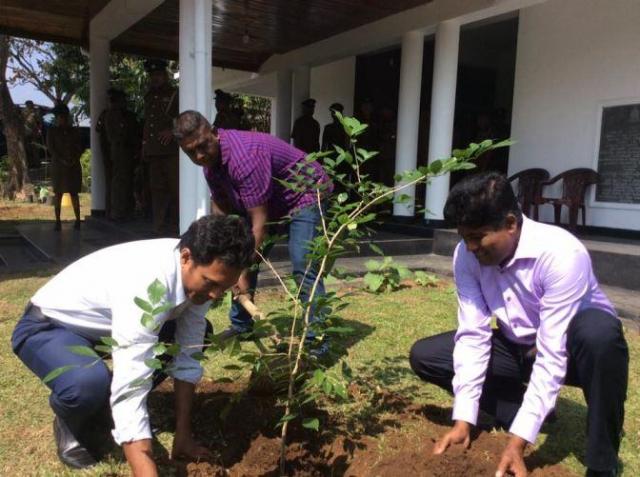 H a p p y  N e w  Y e a r  2 0 1 9!　新年明けましておめでとうございます。