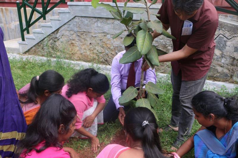 H a p p y  N e w  Y e a r  2 0 1 9!　新年明けましておめでとうございます。画像