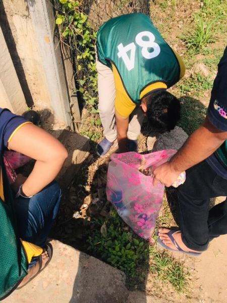 Green Bird Trash Picking event-i   February画像