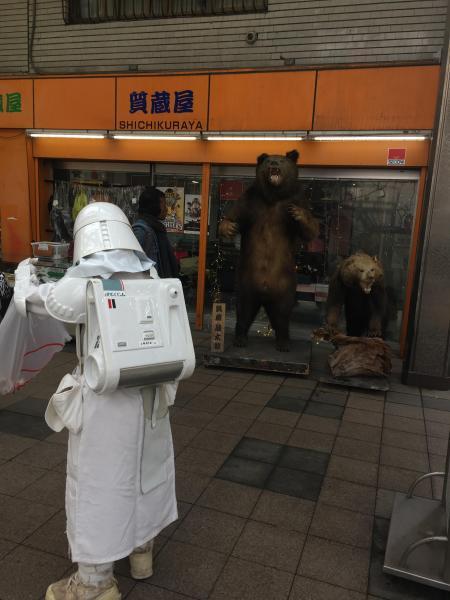 春はまだ、画像