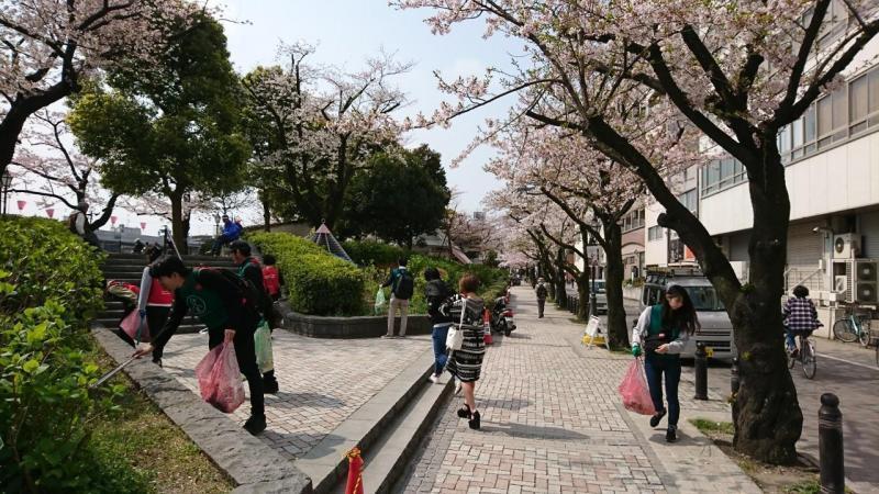 【サンデー浅草そうじ】第56回 雷門前～吾妻橋西詰～隅田公園（台東区）画像
