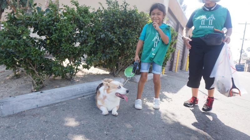 Green Bird ANNA DRIVE Neighborhood Cleanup!画像