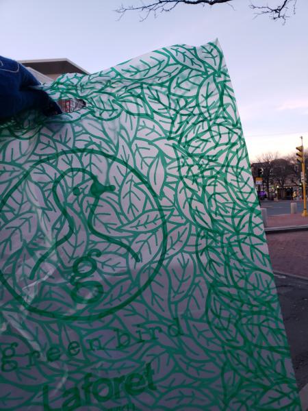 Davis Square Cleanup!画像