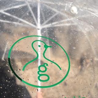 久々の中止画像