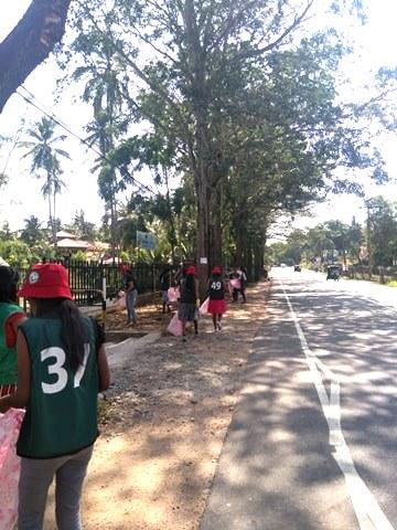 3月よりグリンバード活動ーi画像