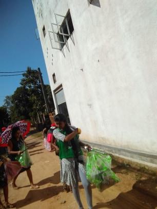 3月よりグリンバード活動ーi画像