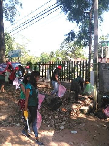 3月よりグリンバード活動ーi画像