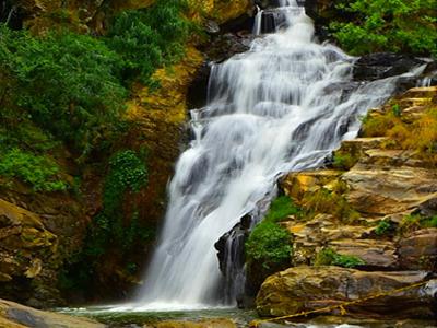 3月の活動ーii画像