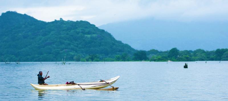 3月の活動ーii画像