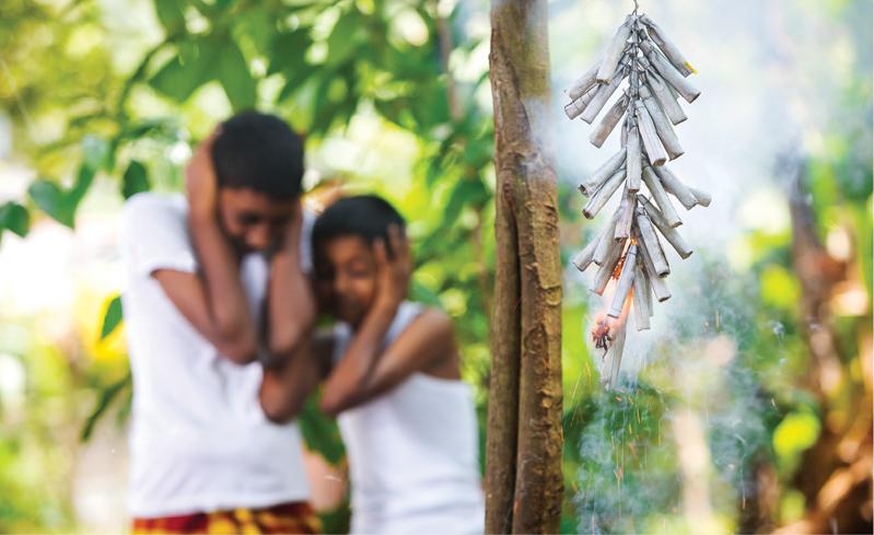 4月の活動、キャンセルでした～画像