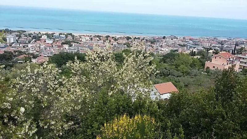 Parco di Telegrafo画像