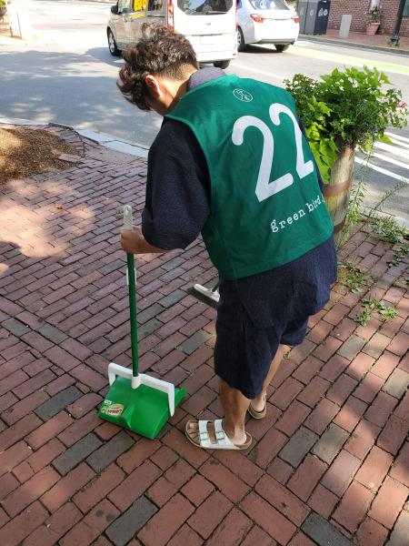 Wake Up, Green Birds!画像