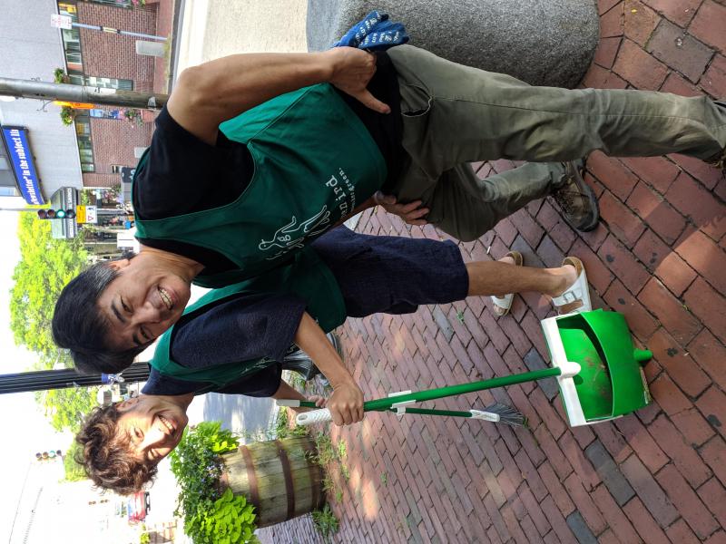 Wake Up, Green Birds!画像