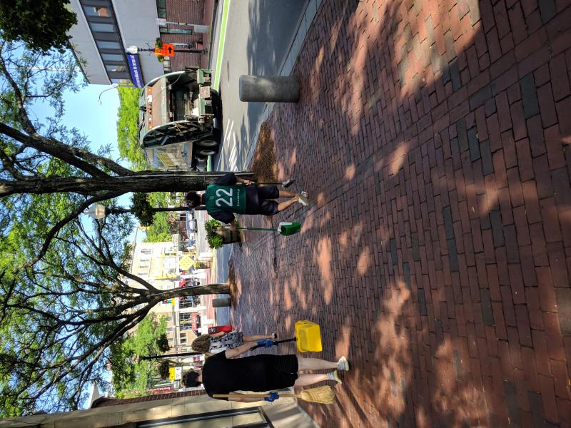 Wake Up, Green Birds!画像