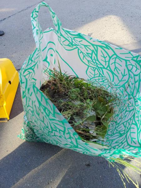 People in Porter Square - MBTA Clean up!画像