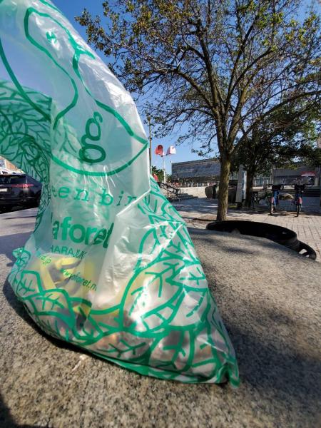People in Porter Square - MBTA Clean up!画像