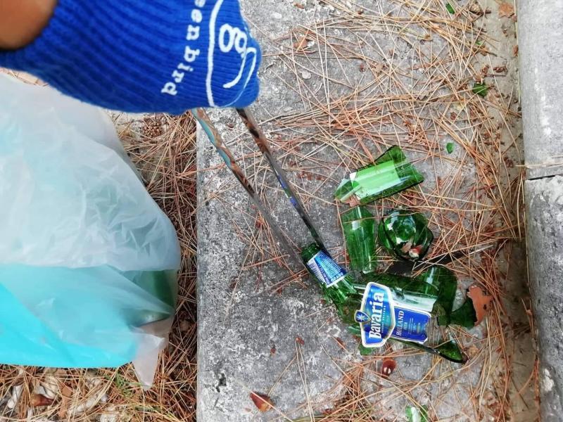 Parco Villa Acerbo画像