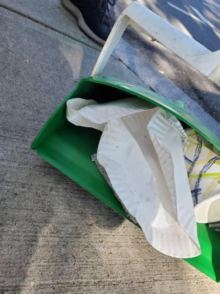 Summer's Almost Over, But Green Bird is Still Here!画像