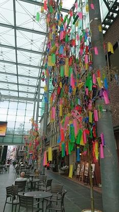 【七夕】西町・総曲輪そうじ画像