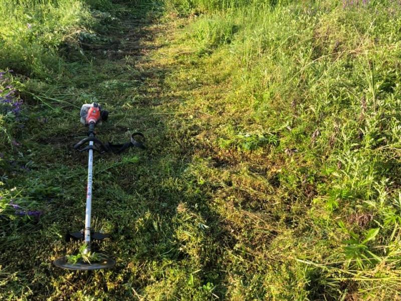 早朝草刈り！画像