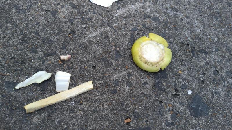 【北新地】きのくにからこんにちはの定例おそうじ【1月第4土曜日】画像