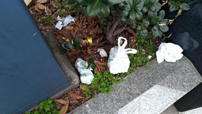 【北新地】きのくにからこんにちはの定例おそうじ【1月第4土曜日】画像