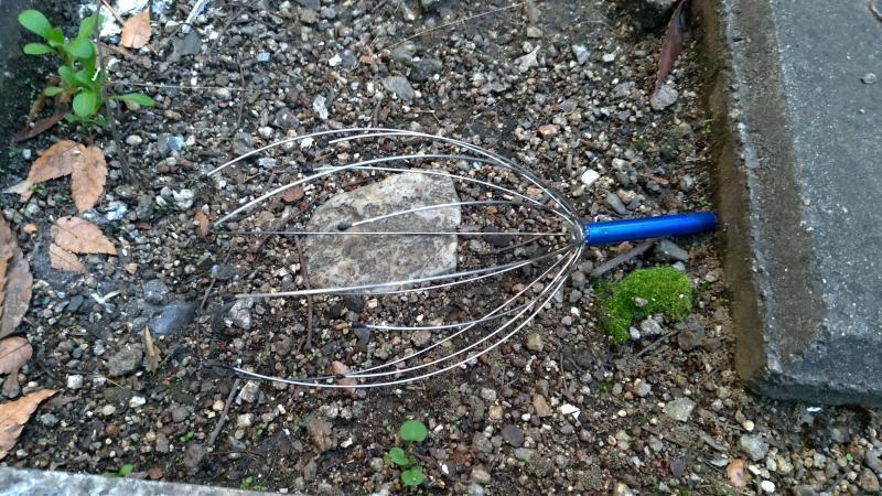 【北新地】きのくにからこんにちはの定例おそうじ【1月第4土曜日】画像