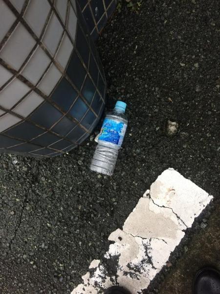 ツツジが終わり緑が増えてきました画像