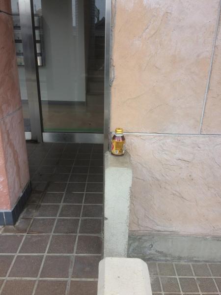 ツツジが終わり緑が増えてきました画像