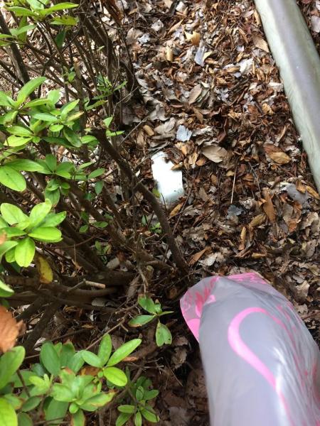 雨中止を挟んでようやく。。。画像