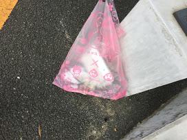 雨中止を挟んでようやく。。。画像