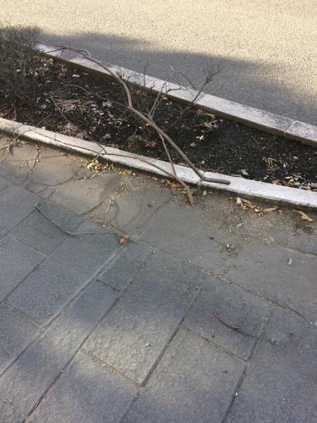 青空に飛行機雲が画像