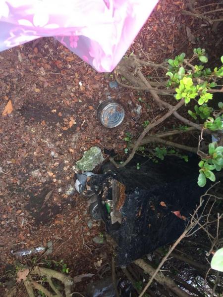 お盆をすぎて。。。。お一人掃除画像