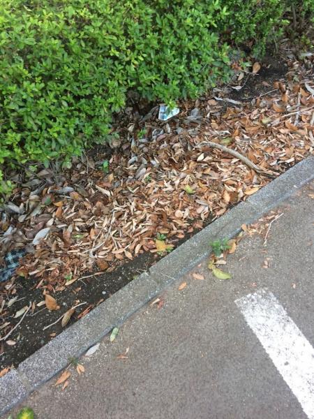 お盆をすぎて。。。。お一人掃除画像