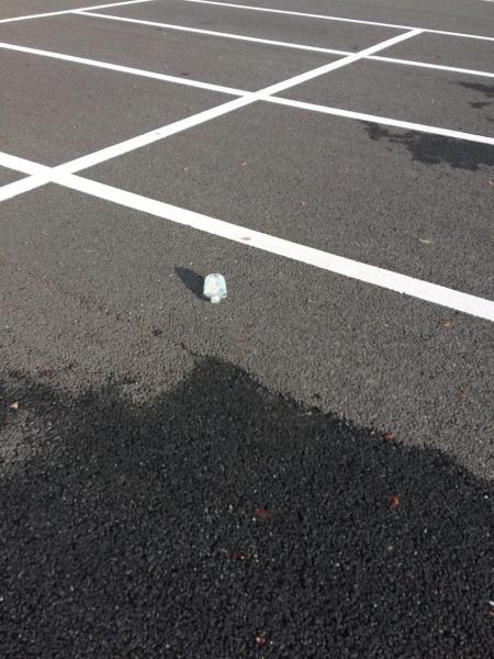 お久しぶりの２人掃除画像