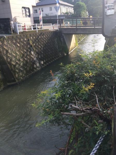 水害を防ぐ講演会に参加してきました！画像